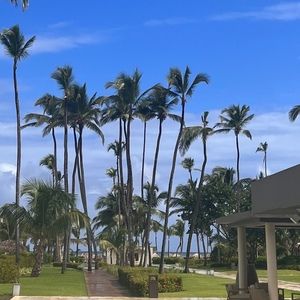 Meet your Posher, Lana